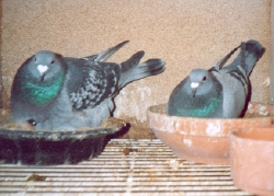 08b.jpg